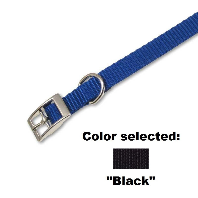 Traditional Collar - 5/8" Width, - Lucky Pet